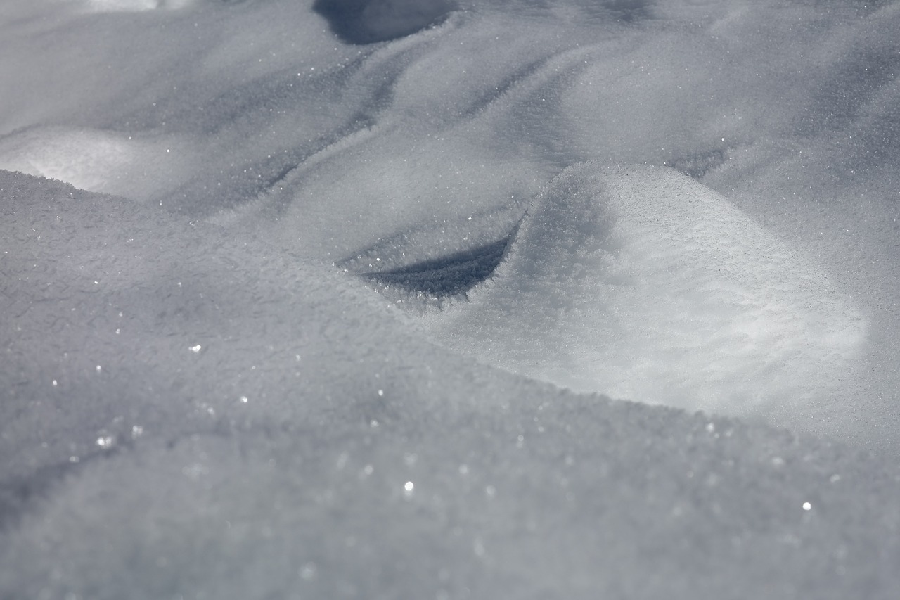 玉洁冰清白如雪，寻找最佳准确生肖的象征意义