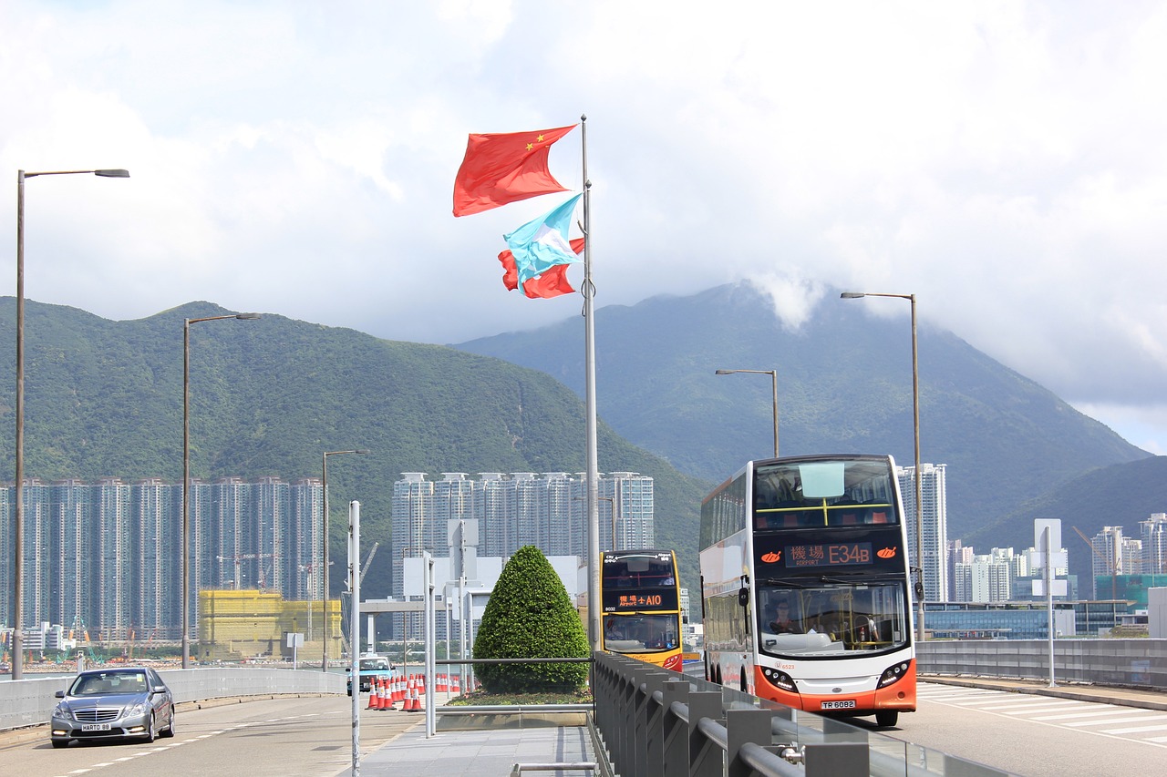 孟津路亚森林露营烧烤之旅