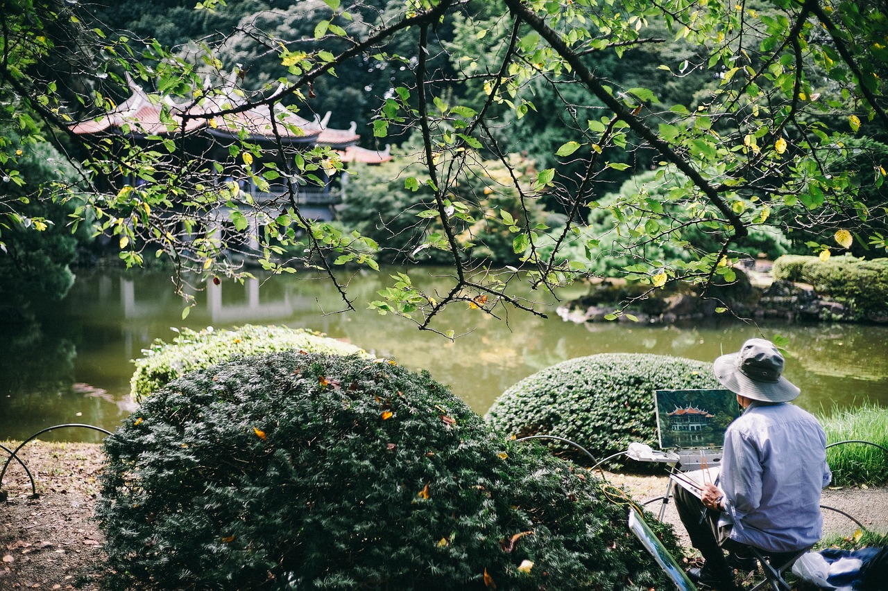 室内绿植带陶瓷盆栽，美化生活与自然融合的艺术