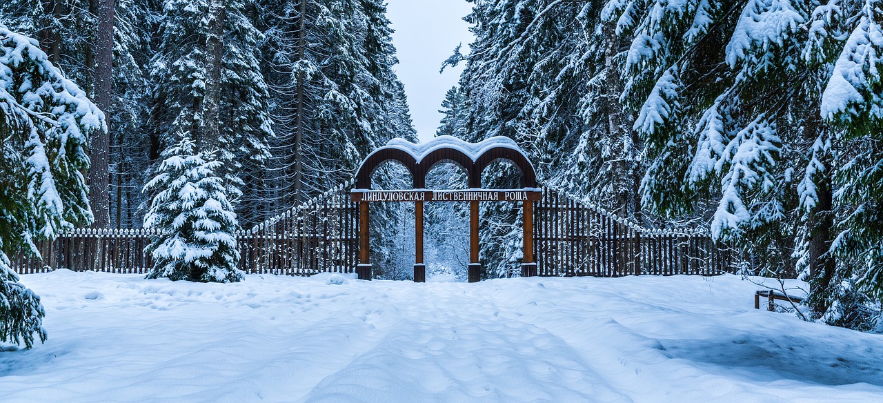 北京奥林匹克公园雪