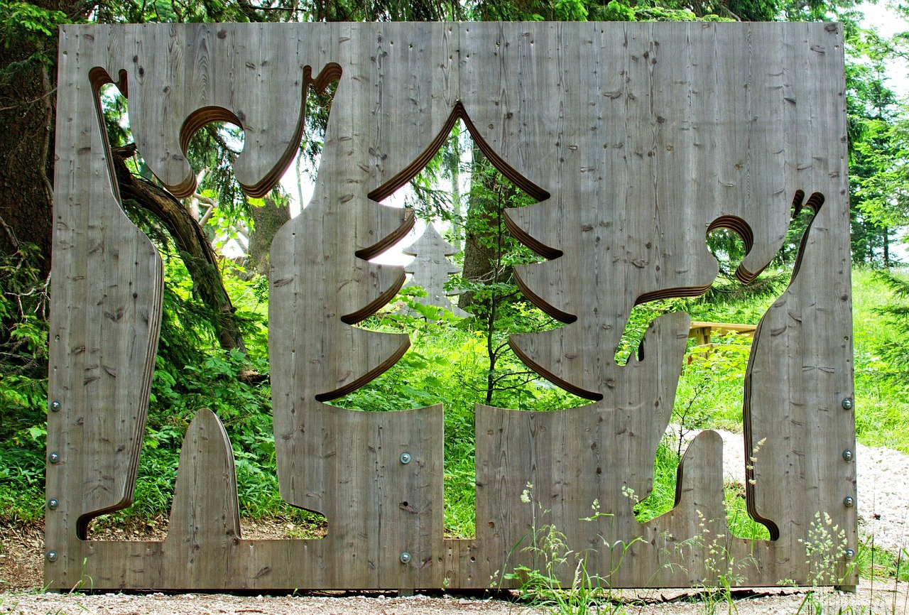 绿植盆栽室内落地卧室，美化居住环境的艺术