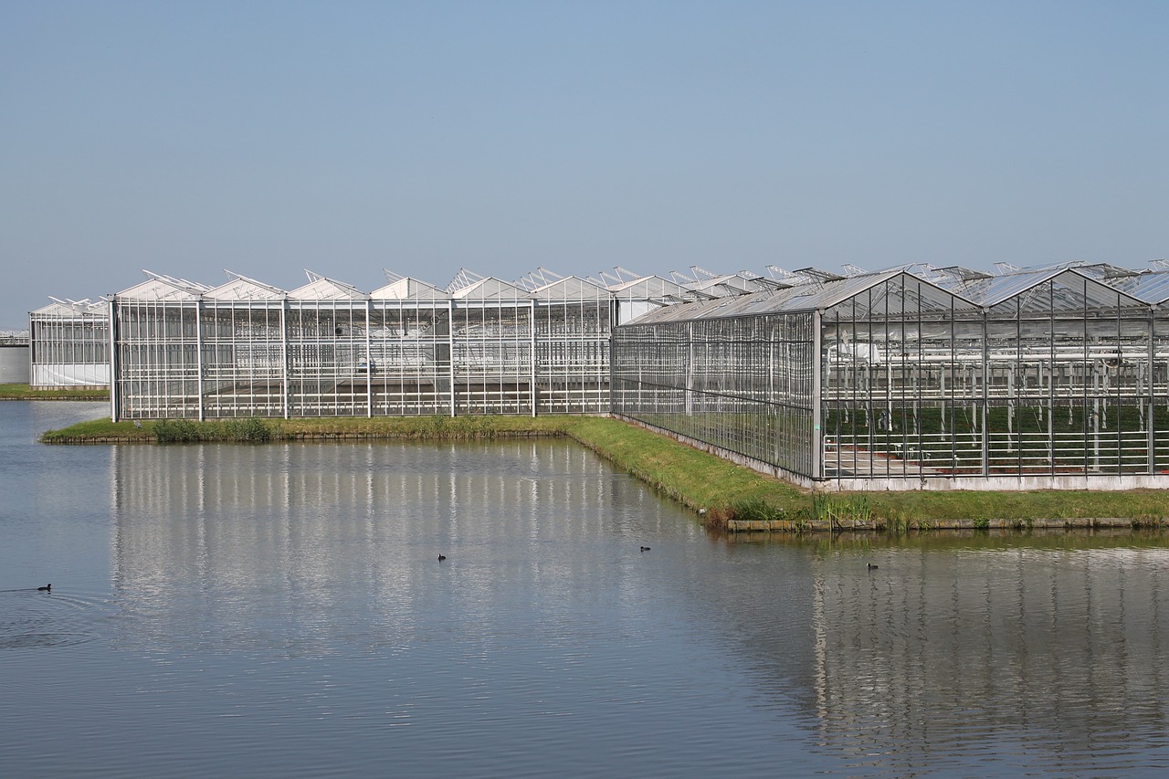 千岛湖互通地址的重要性与探索